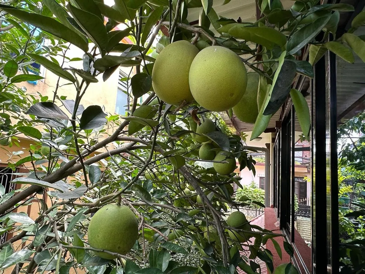 كاتماندو Nepal Bed And Breakfast